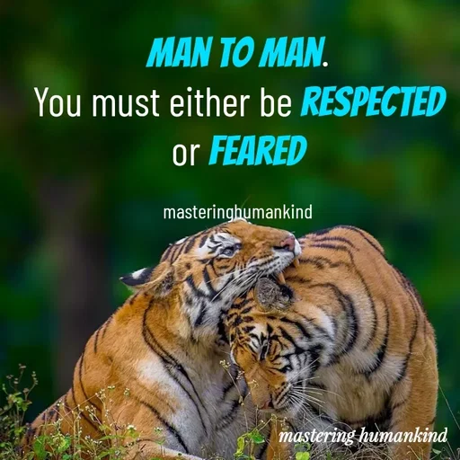 Quote by Meshack M Samuel - Man to Man.
You must either be respected or feared

masteringhumankind - Made using Quotes Creator App, Post Maker App