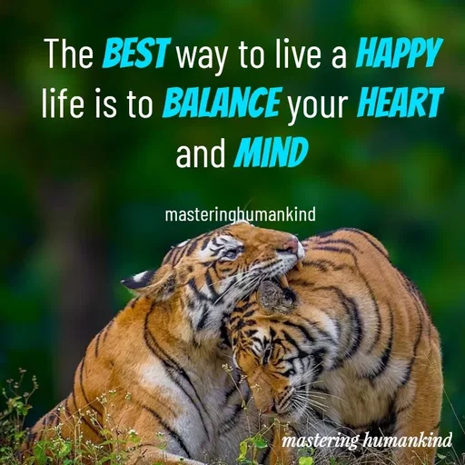 Quote by Meshack M Samuel - The best way to live a happy life is to balance your heart and mind

masteringhumankind - Made using Quotes Creator App, Post Maker App