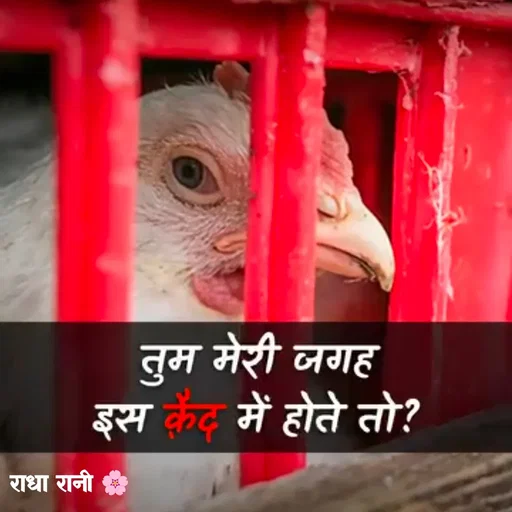 Quote by राधा रानी 🌸 -  - Made using Quotes Creator App, Post Maker App