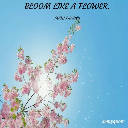 Quote by Megha Pandey - BLOOM LIKE A FLOWER.
MAHI PANDEY
@myquote
 - Made using Quotes Creator App, Post Maker App