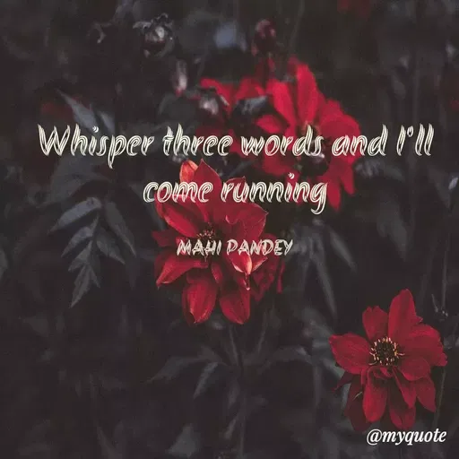 Quote by Megha Pandey - Whisper three words and l'l
COMme runnning
MAHI PANDEY
@myquote
 - Made using Quotes Creator App, Post Maker App