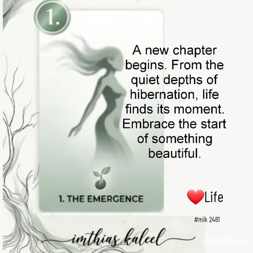 Quote by imthias kaleel - ❤Life 

#mik 2481 - Made using Quotes Creator App, Post Maker App