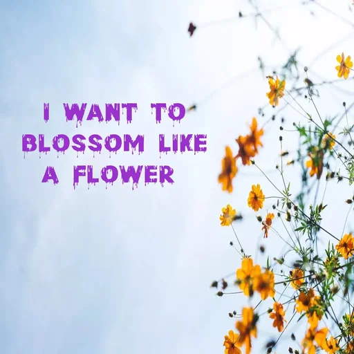Quote by WOW🎆_world of_wonderful - I want to
 blossom like 
a flower  - Made using Quotes Creator App, Post Maker App