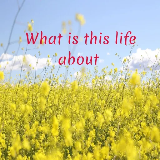 Quote by WOW🎆_world of_wonderful - What is this life about  - Made using Quotes Creator App, Post Maker App