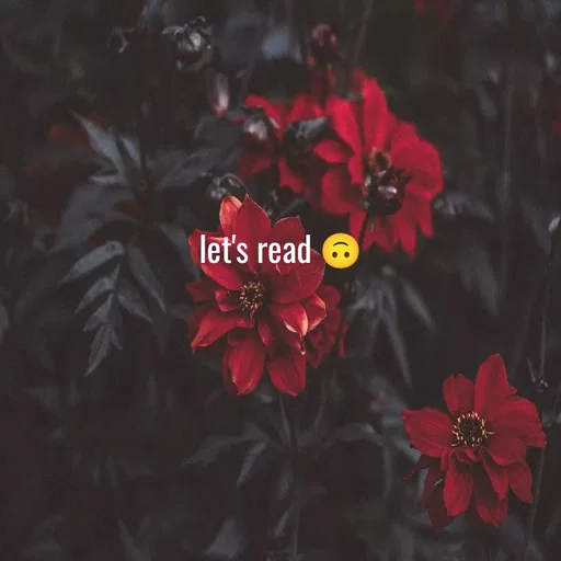 Quote by WOW🎆_world of_wonderful - let's read 🙃 - Made using Quotes Creator App, Post Maker App