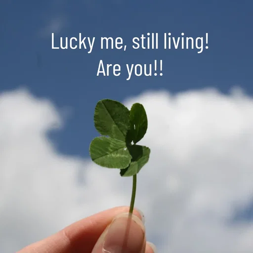 Quote by WOW🎆_world of_wonderful - Lucky me, still living!
Are you!! - Made using Quotes Creator App, Post Maker App