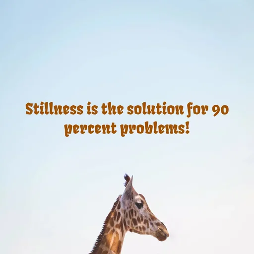 Quote by WOW🎆_world of_wonderful - Stillness is the solution for 90 percent problems! - Made using Quotes Creator App, Post Maker App