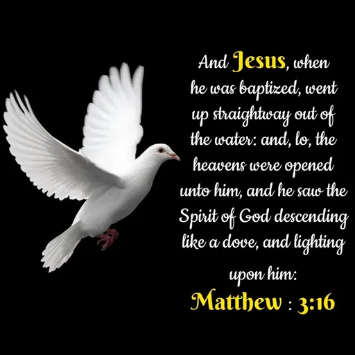 Quote by Anshu 💫 - 
And Jesus, when he was baptized, went up straightway out of the water: and, lo, the heavens were opened unto him, and he saw the Spirit of God descending like a dove, and lighting upon him:
Matthew : 3:16 - Made using Quotes Creator App, Post Maker App