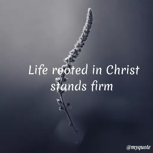 Quote by Maben Sisters - Life reoted in Christ
stands firm
@тудиote
 - Made using Quotes Creator App, Post Maker App