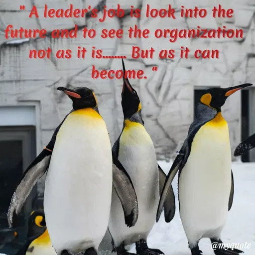 Quote by Maben Sisters - A leaden joy loek into the
futyrend to see the organization
not as it is. But as it can
become.
@myquote
 - Made using Quotes Creator App, Post Maker App