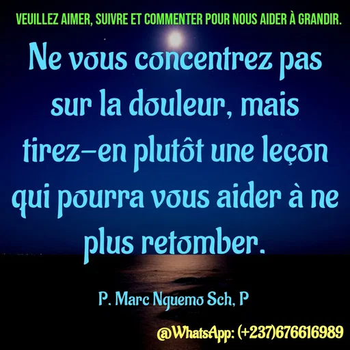Quote by Marc Belomondo - Ne vous concentrez pas sur la douleur, mais tirez-en plutôt une leçon qui pourra vous aider à ne plus retomber.

P. Marc Nguemo Sch, P Veuillez aimer, suivre et commenter pour nous aider à grandir. - Made using Quotes Creator App, Post Maker App
