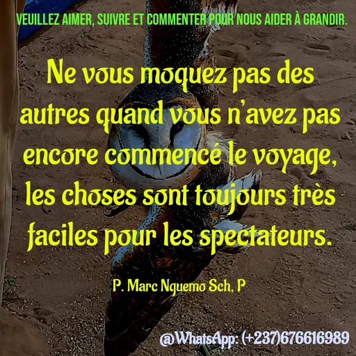 Quote by Marc Belomondo - Ne vous moquez pas des autres quand vous n’avez pas encore commencé le voyage, les choses sont toujours très faciles pour les spectateurs.

P. Marc Nguemo Sch, P Veuillez aimer, suivre et commenter pour nous aider à grandir. - Made using Quotes Creator App, Post Maker App