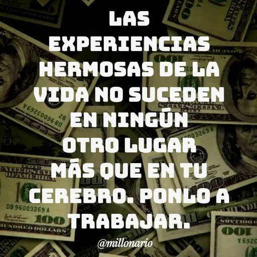 Quote by Alexis Cano - Las experiencias hermosas de la vida no suceden en ningún otro lugar más que en tu cerebro. Ponlo a trabajar. - Made using Quotes Creator App, Post Maker App