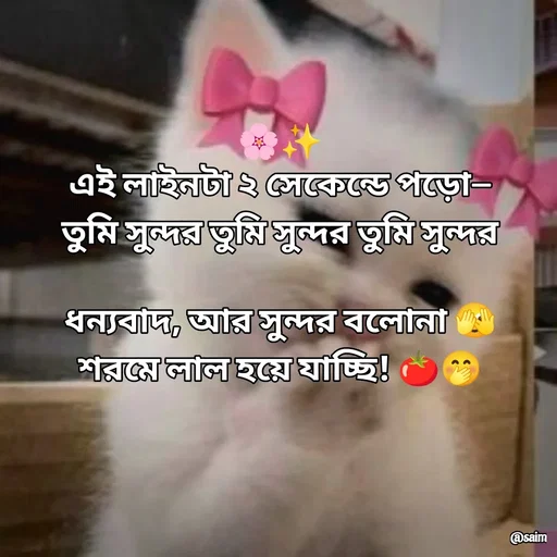 Quote by Saim Akhtar - 🌸✨
এই লাইনটা ২ সেকেন্ডে পড়ো—
তুমি সুন্দর তুমি সুন্দর তুমি সুন্দর

ধন্যবাদ, আর সুন্দর বলোনা 🫣
শরমে লাল হয়ে যাচ্ছি! 🍅🤭 - Made using Quotes Creator App, Post Maker App