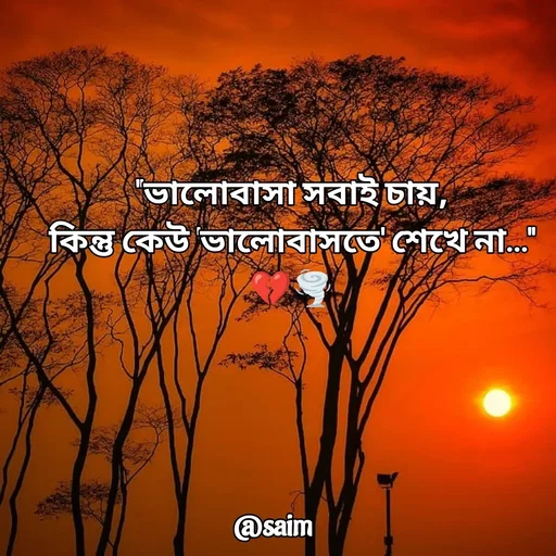 Quote by Saim Akhtar - "ভালোবাসা সবাই চায়,
কিন্তু কেউ 'ভালোবাসতে' শেখে না…"
💔🌪️ - Made using Quotes Creator App, Post Maker App