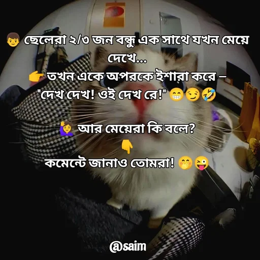 Quote by Saim Akhtar - 👦 ছেলেরা ২/৩ জন বন্ধু এক সাথে যখন মেয়ে দেখে...
👉 তখন একে অপরকে ইশারা করে —
"দেখ দেখ! ওই দেখ রে!" 😁😏🤣

🙋‍♀️ আর মেয়েরা কি বলে?
👇
কমেন্টে জানাও তোমরা! 🤭😜
 - Made using Quotes Creator App, Post Maker App