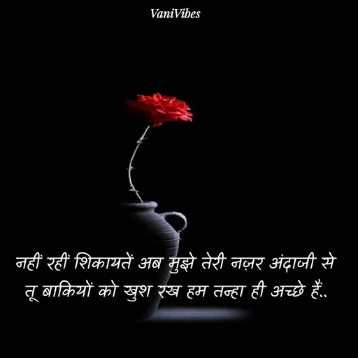 Quote by Vani Vibes - नहीं रहीं शिकायतें अब मुझे तेरी नज़र अंदाजी से
तू बाकियों को खुश रख हम तन्हा ही अच्छे हैं.. - Made using Quotes Creator App, Post Maker App