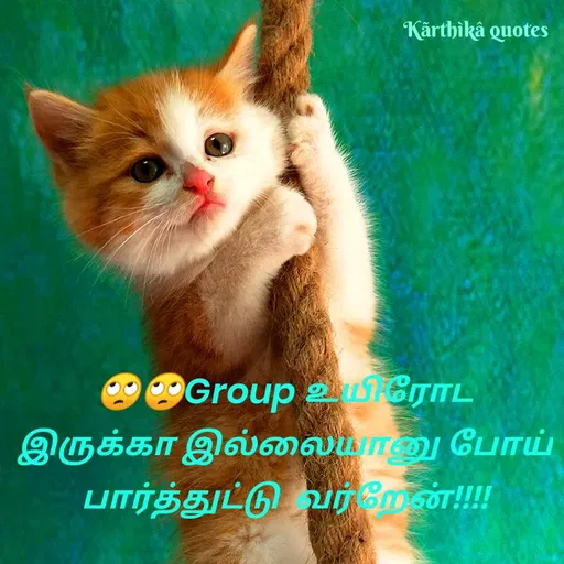 Quote by Pooja editz - Kärthikâ quotes
Group உயிரோட
இருக்கா இல்லையானு போாய்
பார்த்துட்டு வர் றேன்
 - Made using Quotes Creator App, Post Maker App