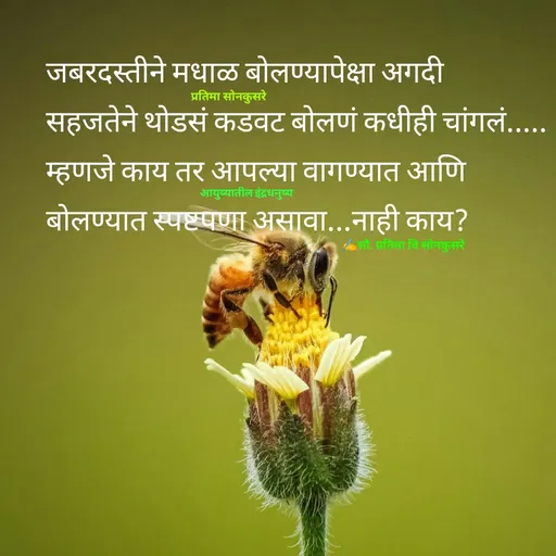 Quote by सौ. प्रतिमा वि साेनकुसरे -  - Made using Quotes Creator App, Post Maker App