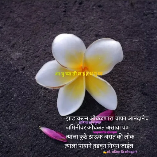 Quote by सौ. प्रतिमा वि साेनकुसरे -  - Made using Quotes Creator App, Post Maker App