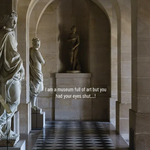 Quote by Sonalika Samantaray - I am a museum full of art but you had your eyes shut....! - Made using Quotes Creator App, Post Maker App