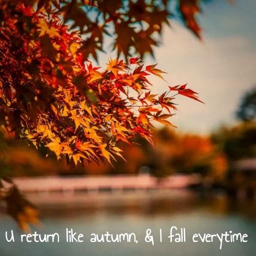 Quote by Sonalika Samantaray - U return like autumn, & I fall everytime - Made using Quotes Creator App, Post Maker App