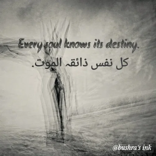 Quote by Bushra Ayoub Advocate -  - Made using Quotes Creator App, Post Maker App