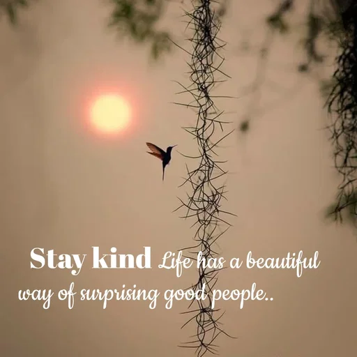 Quote by Sneha -  - Made using Quotes Creator App, Post Maker App