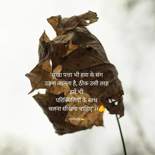Quote by Mystruggle -  - Made using Quotes Creator App, Post Maker App