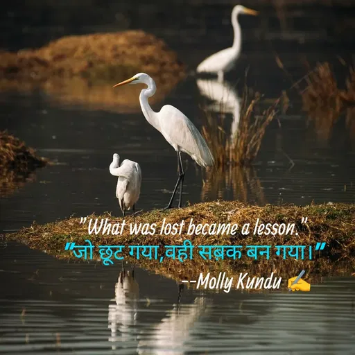 Quote by Mystruggle -  - Made using Quotes Creator App, Post Maker App