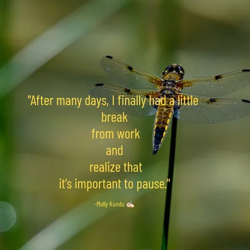 Quote by Mystruggle -  - Made using Quotes Creator App, Post Maker App