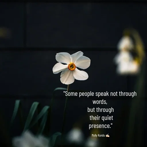 Quote by Mystruggle -  - Made using Quotes Creator App, Post Maker App