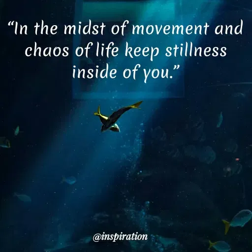 Quote by Nitin Reddy - "In the midst of movement and
chaos of life keep stillness
inside of you."
@inspiration
 - Made using Quotes Creator App, Post Maker App
