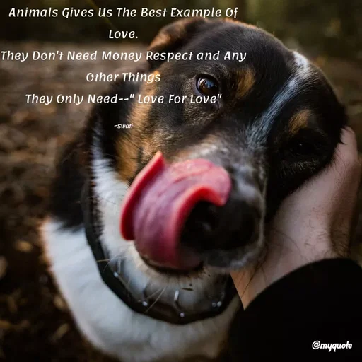 Quote by Swati Senapati - Animals Gives Us The Best Example Of Love.
They Don't Need Money Respect and Any Other Things
They Only Need--" Love For Love"

~Swati - Made using Quotes Creator App, Post Maker App