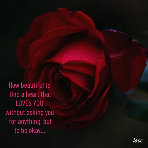 Quote by Cronia Vijayakumar -  - Made using Quotes Creator App, Post Maker App