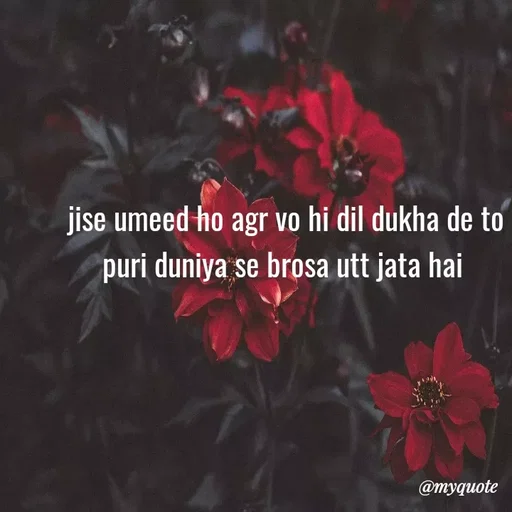 Quote by Nishan Singh - jise umeed ho agr vo hi dil dukha de to puri duniya se brosa utt jata hai 
 - Made using Quotes Creator App, Post Maker App