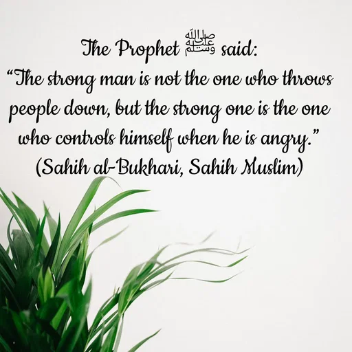 Quote by Tasneem Ara - The Prophet ﷺ said:
“The strong man is not the one who throws people down, but the strong one is the one who controls himself when he is angry.”
(Sahih al-Bukhari, Sahih Muslim) - Made using Quotes Creator App, Post Maker App