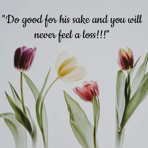 Quote by Tasneem Ara - "Do good for his sake and you will never feel a loss!!!" - Made using Quotes Creator App, Post Maker App