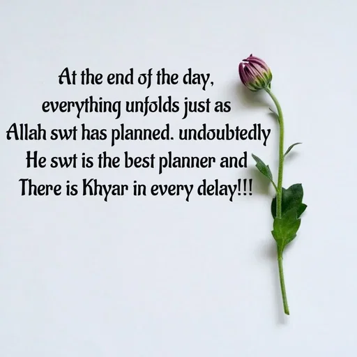 Quote by Tasneem Ara - At the end of the day,
everything unfolds just as
 Allah swt has planned. undoubtedly
 He swt is the best planner and 
There is Khyar in every delay!!! - Made using Quotes Creator App, Post Maker App