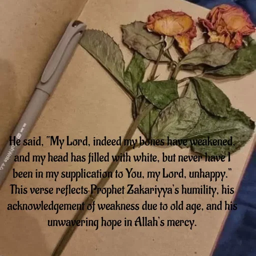 Quote by Tasneem Ara - He said, “My Lord, indeed my bones have weakened, and my head has filled with white, but never have I been in my supplication to You, my Lord, unhappy.” This verse reflects Prophet Zakariyya’s humility, his acknowledgement of weakness due to old age, and his unwavering hope in Allah’s mercy.
 - Made using Quotes Creator App, Post Maker App