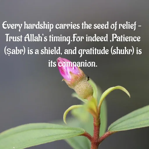 Quote by Tasneem Ara -  - Made using Quotes Creator App, Post Maker App