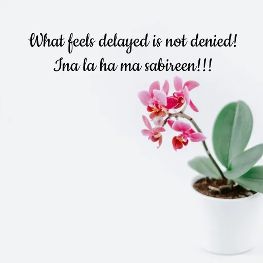 Quote by Tasneem Ara - What feels delayed is not denied!
Ina la ha ma sabireen!!! - Made using Quotes Creator App, Post Maker App