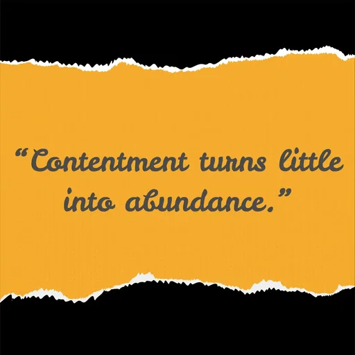 Quote by Tasneem Ara - “Contentment turns little into abundance.”
 - Made using Quotes Creator App, Post Maker App