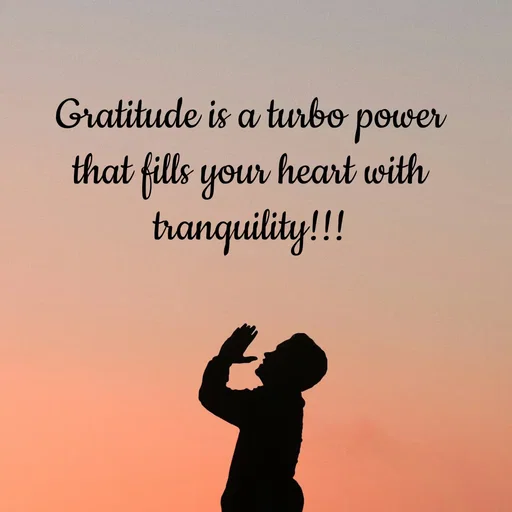 Quote by Tasneem Ara - Gratitude is a turbo power that fills your heart with tranquility!!! - Made using Quotes Creator App, Post Maker App
