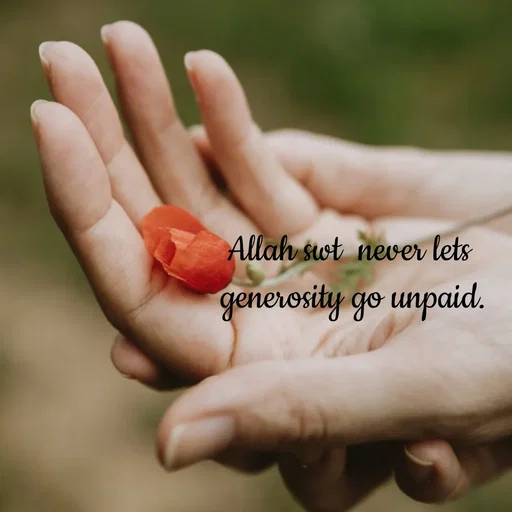 Quote by Tasneem Ara - Allah swt  never lets 
generosity go unpaid. - Made using Quotes Creator App, Post Maker App