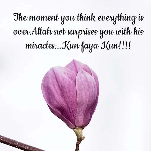 Quote by Tasneem Ara - The moment you think everything is over.Allah swt surprises you with his miracles...Kun faya Kun!!!! - Made using Quotes Creator App, Post Maker App