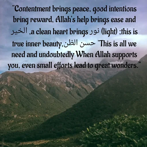 Quote by Tasneem Ara - "Contentment brings peace, good intentions bring reward, Allah’s help brings ease and  الخير ,a clean heart brings نور (light) ;this is true inner beauty,حسن الظن "This is all we need and undoubtedly When Allah supports you, even small efforts lead to great wonders.” - Made using Quotes Creator App, Post Maker App