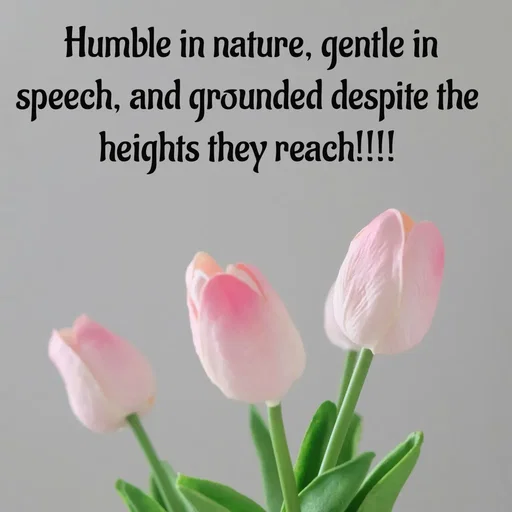 Quote by Tasneem Ara -  Humble in nature, gentle in speech, and grounded despite the heights they reach!!!! - Made using Quotes Creator App, Post Maker App