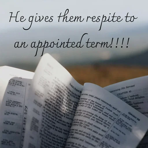 Quote by Tasneem Ara - He gives them respite to an appointed term!!!! - Made using Quotes Creator App, Post Maker App