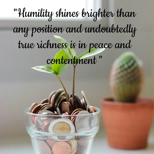 Quote by Tasneem Ara - "Humility shines brighter than any position and undoubtedly true richness is in peace and contentment " - Made using Quotes Creator App, Post Maker App